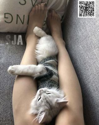 机对机在线观看_高清电影全集观看